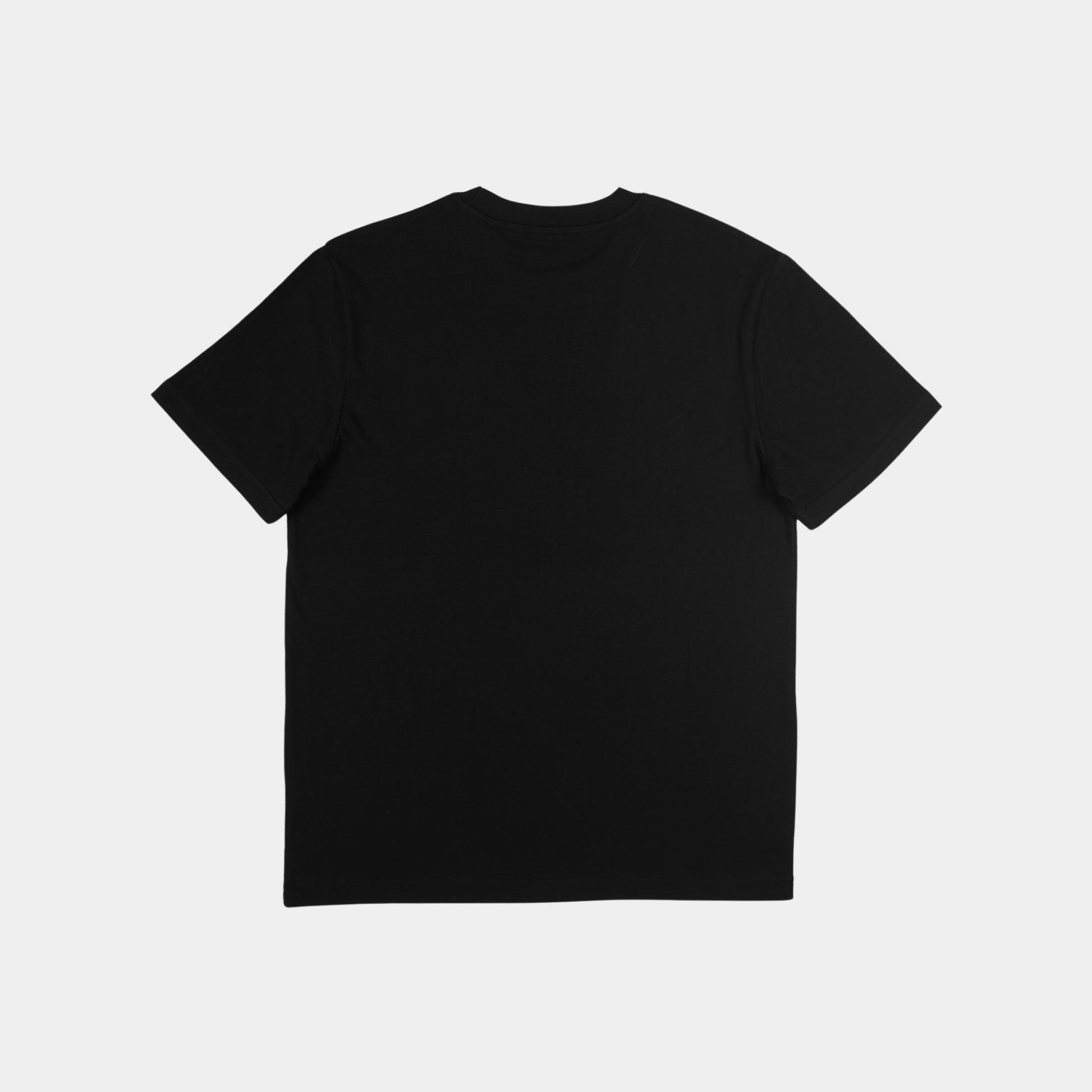 CAMISETA CARALM LEGACY HOMBRE