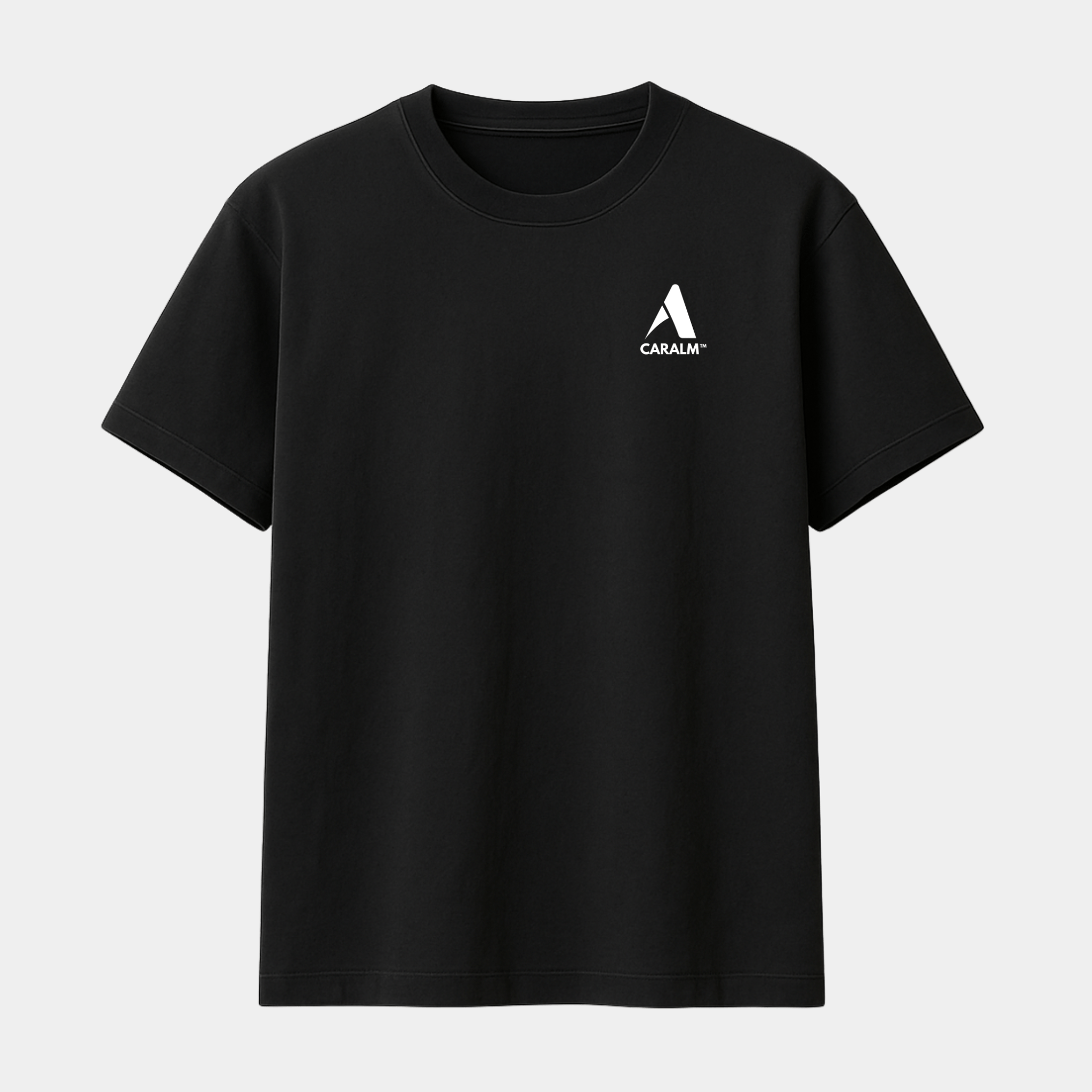 CAMISETA COORDENADAS - Caralm